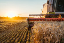 Combine Harvester Harvests Ripe Wheat. Concept Of A Rich Harvest. Agriculture Image