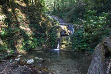 Valley of the waterfalls on the Creek Dzhegosh. Sochi National Park. Russia