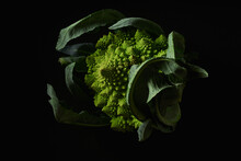 Closeup Of Romanesco Broccoli Cabbage On Black Background
