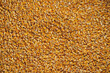 © Fatima Guisado/ADDICTIVE STOCK - Top view of full frame background of pile of dry corn seeds stored in warehouse at factory