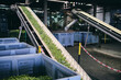 © Fatima Guisado/ADDICTIVE STOCK - Old sorting conveyer with green vegetables processing in shabby industrial area of factory