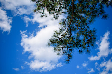 sky and clouds