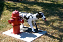 Fire Hydrant Sculpture Free Stock Photo - Public Domain Pictures