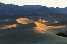 Sand Dunes Near Stovepipe Wells, Death Valley National Park