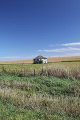 Poster - House in field