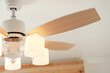 Modern ceiling fan with lamps indoors, closeup. Interior element