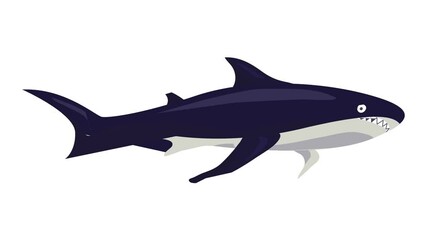 Wall Mural - Shark icon animation best on white background for any design