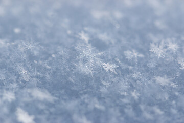 Wall Mural - snowflakes of different shapes as background