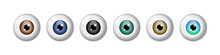 Realistic Eyeballs Set. Different Colored Eyes. Brown, Blue, Black, Green, Amber Iris. Most Common Eye Colors. Ophtalmology. Colored Contact Lenses. White Background. Vector Illustration,flat,clip Art