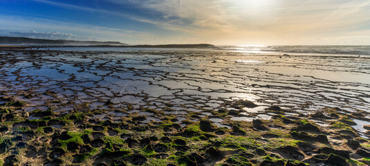 Wall Mural - warm evening light over a wild sand and rock beach with tidal pools and seagulls flying