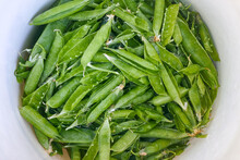 Green Pea Pods In White Bucket.