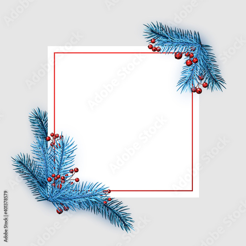 Obraz na plátně Square frame with blue spruce branches.