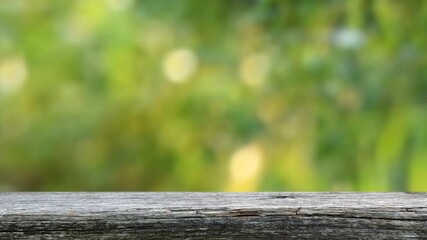 Canvas Print - table with green background	