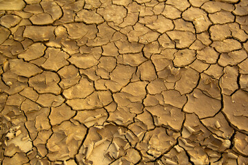 cracked clay ground into the dry season