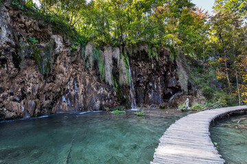 Wall Mural - Wooden footbridge over picturesque lake