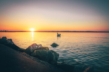 Wall Mural - Was Ein schöner Sonnenaufgang in Ungarn am Balaton in tihany. Ein Anlegesteeg, Pier in gegenlichtaufnahme. Natur See binnenmeer