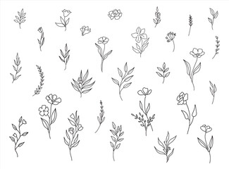 Wall Mural - set of cute hand drawn flowers, branches, leaves. vector line arrangements for greeting card or invi