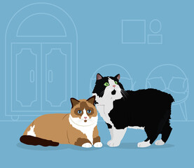 Wall Mural - Cartoon ragdoll cat and black and white cat