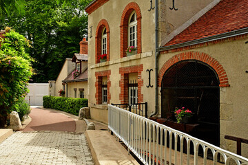 Wall Mural - Olivet; France - july 13 2020 : Loiret banks