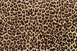 © Anna Žolnay - Leopard print fabric pattern, seamless background image.