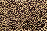 Leopard print fabric pattern, seamless background image.