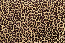 Leopard Print Fabric Pattern, Seamless Background Image.