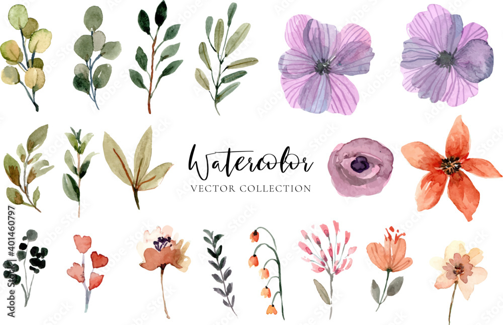 Watercolor Floral Vector Collection Set elements Stock Vector | Adobe Stock