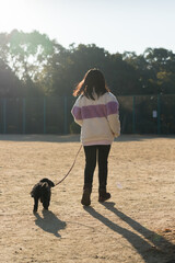 冬の公園でプードルの犬を連れて散歩している女の子