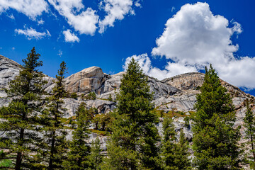 Wall Mural - granite peaks in forest