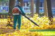 © photosaint - Working in the Park removes leaves with a blower