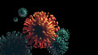 Coronavirus new strain mutation variant