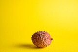 lychee on yellow background