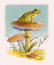 Frog Resting On A Mushroom