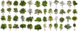 Leinwandbild Motiv isolated big tree collection isolated on white