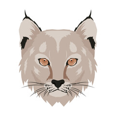 Poster - wild feline animal head fauna character