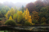 Fototapeta Las - Misty autumn lake.