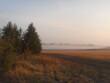 fog on the field