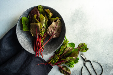 Wall Mural - Beetroot leaves as a healthy cooking concept