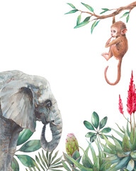 Tropical frame. Illustration with elephant and chimp. Watercolor animal and jungle flora on white background.