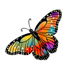 Wall Mural - The abstract butterfly is multicolored. Vector illustration