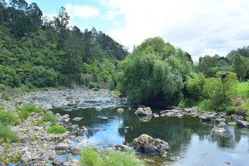 Wall Mural - View of Ohinemuri River at Karangahake Gorge