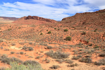 Wall Mural - Desert Landscape and sandstone formations at Cache Valley, Arches National Park