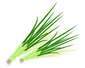 Fresh green spring onions vegetables vector design. Vegetable of farm for market product