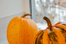 Orange Pumpkin On Windowsill. Halloween Pumpkins On The Windowsill. Thanksgiving Day. Autumn Atmosphere. Holiday Decoration.