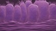 Respiratory epithelium, mucus production, in 3d illustration