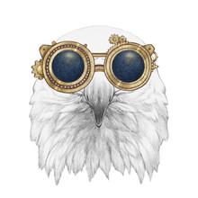 Portrait Of Eagle With Goggles. Hand-drawn Illustration.