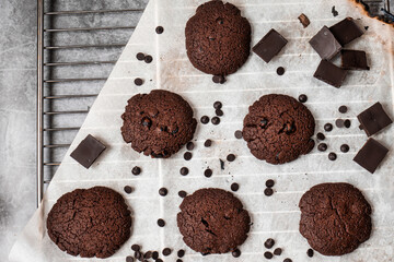 Chocolate cookie with ingredients like chocolate pices