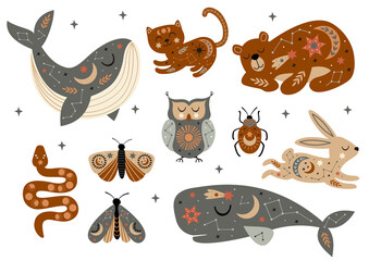 Wall Mural - set of isolated celestial animals