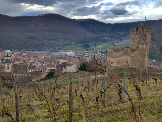 Wall Mural - château Schlossberg