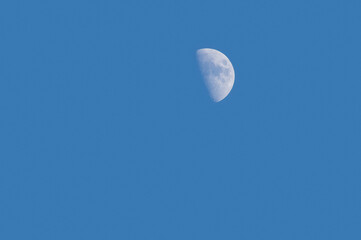 Wall Mural - December 2020 crescent moon. Image of the moon against a blue sky taken in Southern California.